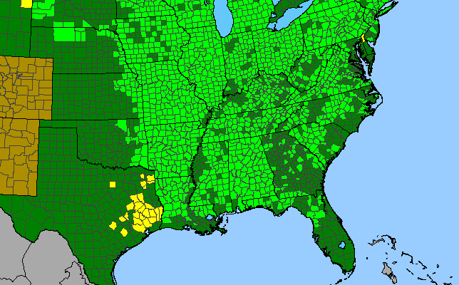 The range of Ostrya virginiana